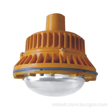 Induction Explosion Proof Light